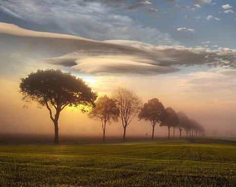 《寡人之于國也》學(xué)案（通用13篇）